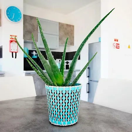 Riamar - Da Vagueira Гаванья-да-Вагейра