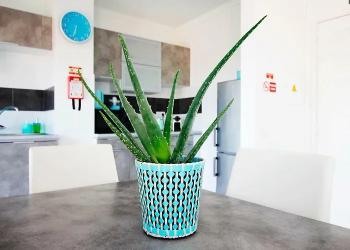 Riamar - Da Vagueira 加凡哈达瓦古耶拉